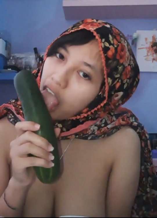 Extremely cute hijabi babe xvedios playing with cucumber